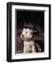 West Highland Terrier / Westie Sitting in Front of a Fireplace-Adriano Bacchella-Framed Premium Photographic Print