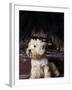West Highland Terrier / Westie Sitting in Front of a Fireplace-Adriano Bacchella-Framed Photographic Print
