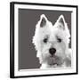 West Highland Terrier-Emily Burrowes-Framed Art Print