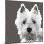 West Highland Terrier-Emily Burrowes-Mounted Art Print