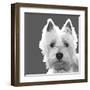 West Highland Terrier-Emily Burrowes-Framed Giclee Print