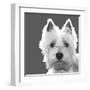 West Highland Terrier-Emily Burrowes-Framed Giclee Print