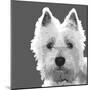 West Highland Terrier-Emily Burrowes-Mounted Giclee Print