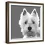 West Highland Terrier-Emily Burrowes-Framed Premium Giclee Print