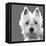 West Highland Terrier-Emily Burrowes-Framed Stretched Canvas