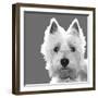 West Highland Terrier-Emily Burrowes-Framed Art Print