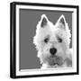 West Highland Terrier-Emily Burrowes-Framed Art Print