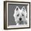 West Highland Terrier-Emily Burrowes-Framed Art Print