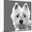 West Highland Terrier-Emily Burrowes-Mounted Art Print