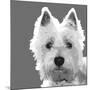 West Highland Terrier-Emily Burrowes-Mounted Premium Giclee Print