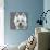 West Highland Terrier-Emily Burrowes-Art Print displayed on a wall