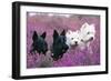 West Highland White and Scottish Terriers-null-Framed Photographic Print
