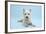 West Highland White Terrier Against a Blue Background-Mark Taylor-Framed Photographic Print