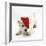 West Highland White Terrier, Betty, Wearing a Father Christmas Hat-Mark Taylor-Framed Photographic Print