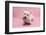 West Highland White Terrier Biting a Pink Boot Against a Pink Background-Mark Taylor-Framed Photographic Print