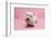 West Highland White Terrier Biting a Pink Boot Against a Pink Background-Mark Taylor-Framed Photographic Print