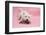 West Highland White Terrier Biting Toy Against a Pink Background-Mark Taylor-Framed Photographic Print