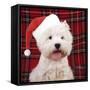 West Highland White Terrier Dog Puppy-null-Framed Stretched Canvas