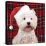 West Highland White Terrier Dog Puppy-null-Stretched Canvas