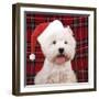 West Highland White Terrier Dog Puppy-null-Framed Photographic Print
