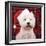 West Highland White Terrier Dog Puppy-null-Framed Photographic Print