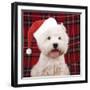 West Highland White Terrier Dog Puppy-null-Framed Photographic Print