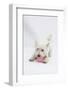 West Highland White Terrier Playing with Toy-Mark Taylor-Framed Photographic Print