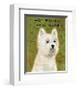 West Highland White Terrier-John Golden-Framed Giclee Print