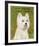 West Highland White Terrier-John W^ Golden-Framed Art Print