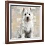 West Highland White Terrier-Keri Rodgers-Framed Art Print