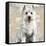 West Highland White Terrier-Keri Rodgers-Framed Stretched Canvas