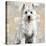 West Highland White Terrier-Keri Rodgers-Stretched Canvas