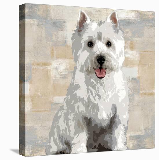 West Highland White Terrier-Keri Rodgers-Stretched Canvas