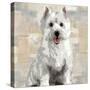 West Highland White Terrier-Keri Rodgers-Stretched Canvas