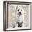 West Highland White Terrier-Keri Rodgers-Framed Art Print