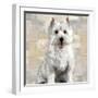 West Highland White Terrier-Keri Rodgers-Framed Art Print