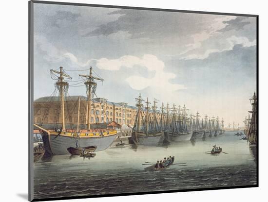 West India Docks, 1809 (Coloured Engraving)-T Rowlandson-Mounted Giclee Print