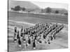 West Indian Band, Up-Park-Camp, Jamaica, C1905-Adolphe & Son Duperly-Stretched Canvas