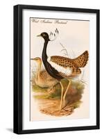 West Indian Bustard-John Gould-Framed Art Print