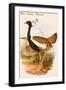 West Indian Bustard-John Gould-Framed Art Print