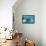 West Indian Manatee-Reinhard Dirscherl-Framed Stretched Canvas displayed on a wall