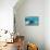 West Indian Manatee-Reinhard Dirscherl-Stretched Canvas displayed on a wall