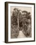 West Indies, Botanical Garden of St. Pierre, in the Martinique-null-Framed Photographic Print