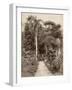 West Indies, Botanical Garden of St. Pierre, in the Martinique-null-Framed Photographic Print