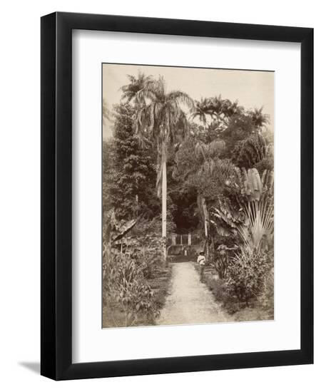 Premium Photographic Print, , large
