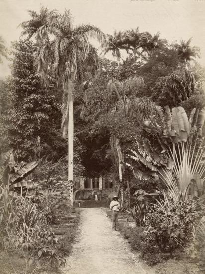 Photographic Print, , large