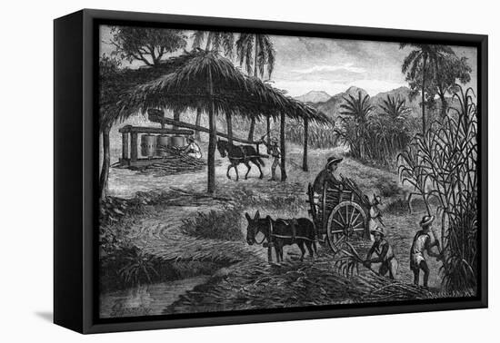 West Indies Sugar Plantation-R. Henkel-Framed Stretched Canvas