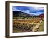 West Indies-Eliot Elisofon-Framed Photographic Print