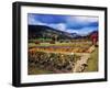 West Indies-Eliot Elisofon-Framed Photographic Print