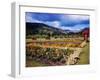 West Indies-Eliot Elisofon-Framed Photographic Print